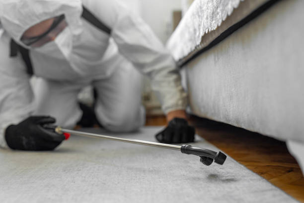 Professional Bed Bug Control technician working in North Valley Stream, NY