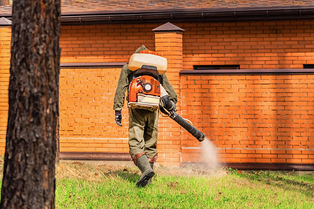 Trusted Rodent Control service in North Valley Stream, NY - Nex Pest Control